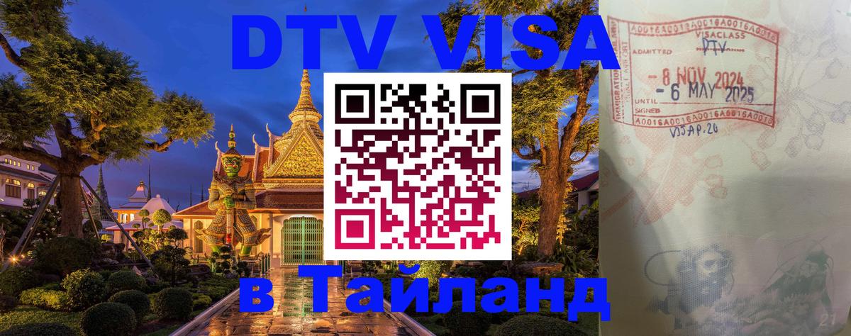 Сколько стоит DTV виза — актуальные цены, оформление даже без документов - 